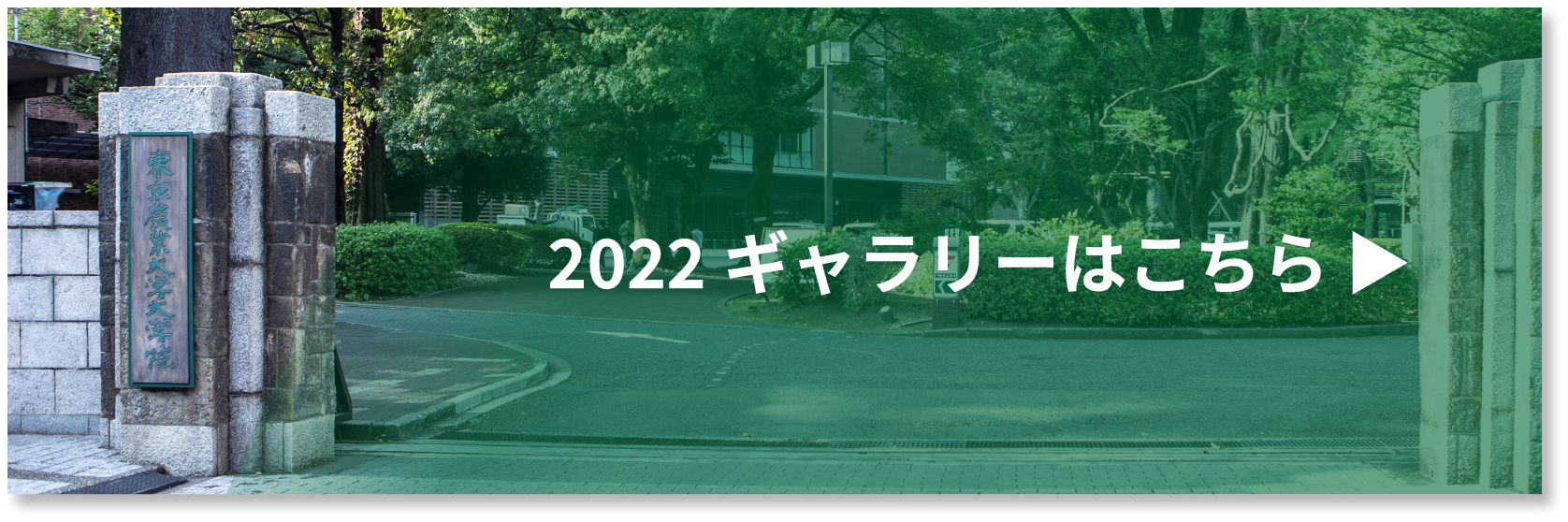 2022ギャラリーはこちら